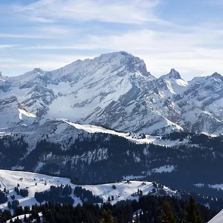 Le Bristol 14 By Interhome Villars-sur-Ollon