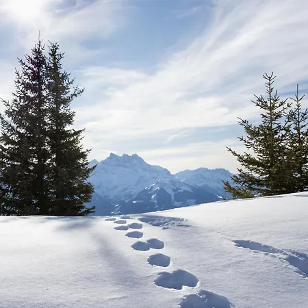 Le Bristol 14 By Interhome Villars-sur-Ollon