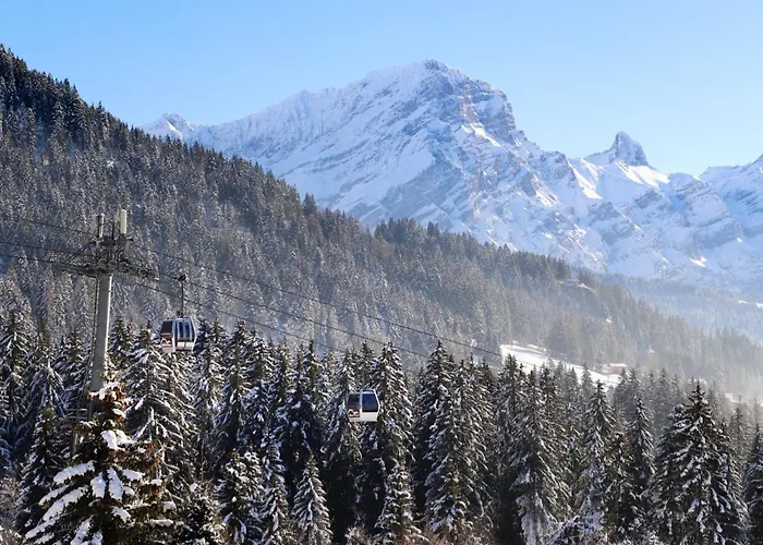 Le Bristol 14 By Interhome Daire