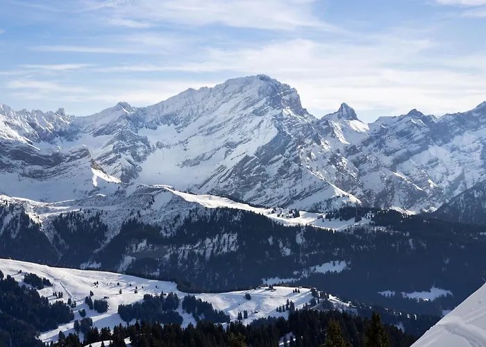 Le Bristol 14 By Interhome Villars-sur-Ollon