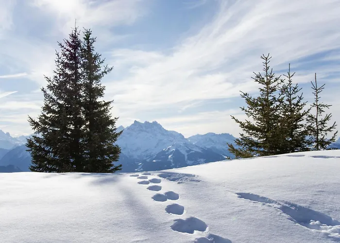 Le Bristol 14 By Interhome Villars-sur-Ollon