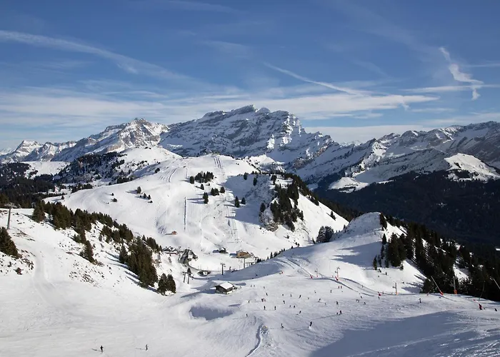 Daire Le Bristol 14 By Interhome Villars-sur-Ollon