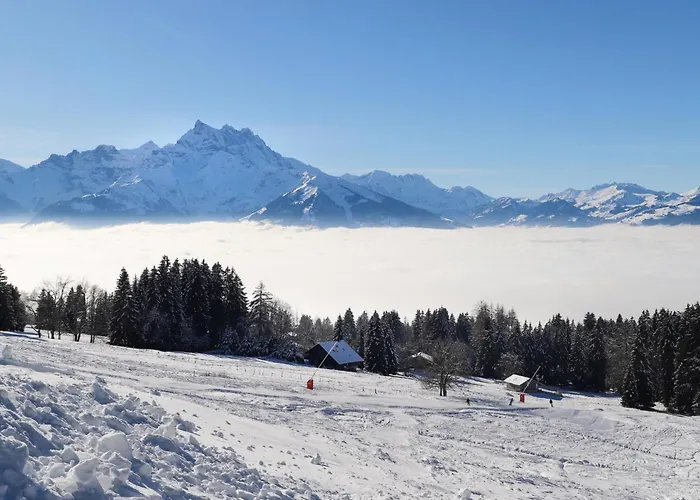 Le Bristol 14 By Interhome * Villars-sur-Ollon